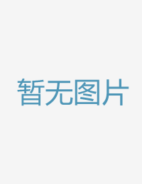 半途进公司的人妻夜童电影